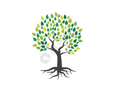 树图标标志模板插图生态花园绿色叶子生长植物树干橡木生物背景图片