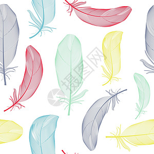 鸟羽毛手绘无缝图案背景矢量它制作图案翅膀插图绘画白色鹅毛笔艺术背景图片