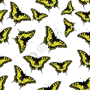 蝴蝶无缝图案背景矢量图飞行动画片艺术自由装饰品运动叶子宠物橙子动物设计图片