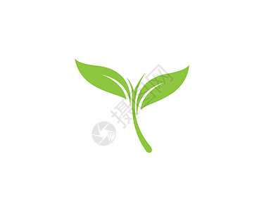 绿叶生态自然元素绿色商业环境生物叶子插图树叶健康生活植物背景图片