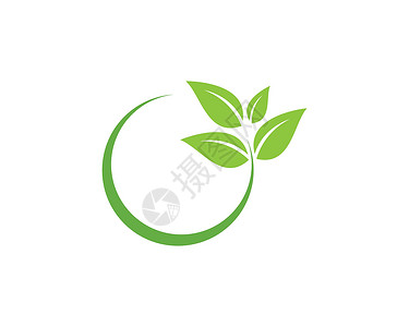 绿叶生态自然元素插图植物标识叶子商业环境装饰品美丽生活公司背景图片