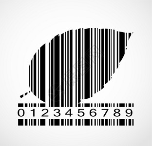 个性标签条码秋叶图像矢量它制作图案读者优惠券商业叶子标签个性清单数据代码夹子插画