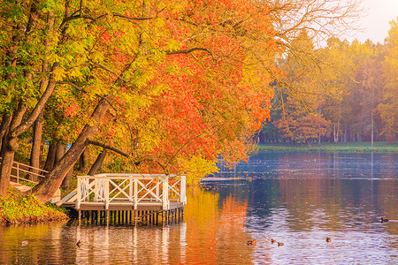 与湖的秋天公园风景 秋天 新赛季 美丽的风景 黄色的树 印刷产品的照片 一篇关于秋天的文章岩石蓝色旅游花园壁纸环境叶子旅行橙子森背景