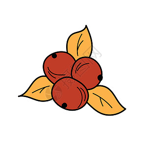 秋季盛惠秋季元素简单的风格 红色浆果和秋叶在惠特季节涂鸦草本植物墙纸树叶插图装饰品金子叶子纺织品插画