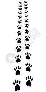 小猫脚印打印动物猫狗脚印矢量远离路径透视插画