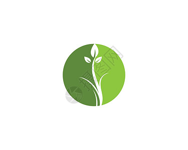 绿叶生态自然元素农场植物热带生长环境商业生活生物树叶插图背景图片