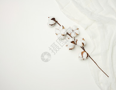 白纱布和白色棉花的螺旋 在桌子上 顶层风景背景图片