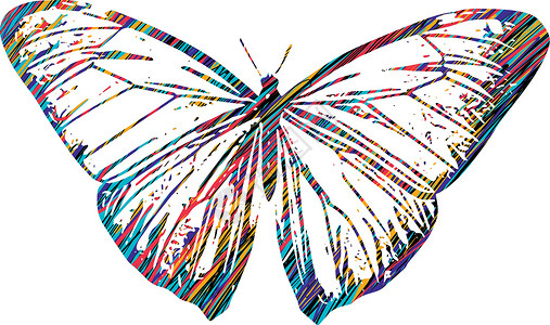 彩蝶小品绘画君主昆虫插图艺术翅膀动物野生动物草图标识背景图片