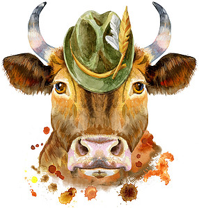画牛一头红牛与 ha 的水彩插图背景