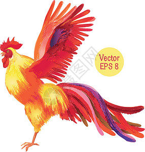 鸡飞一只公鸡的铅笔画 它制作图案矢量设计图片