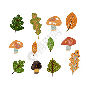 暖色调的秋季元素与蘑菇和其他叶子 秋季的矢量设计背景图片