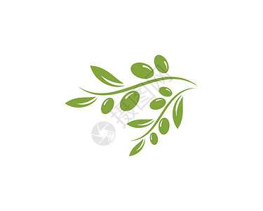 橄榄标志模板标识标签绿色包装水果植物广告农业蔬菜插图背景图片