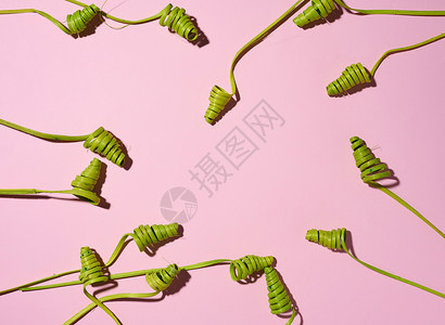 粉红背景 抽象背景 顶视图上的绿木螺旋背景图片