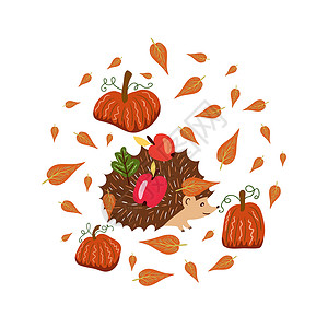 刺猬手绘暖色调的秋季元素 南瓜和携带水果的刺猬 秋季的矢量设计设计图片