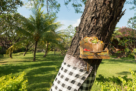 巴厘岛传统祭品篮子装饰风格艺术稻草奉献水果情调乌布热带背景