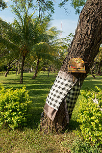 巴厘岛传统祭品稻草礼物风格公园树叶植物群乌布宗教上帝篮子背景