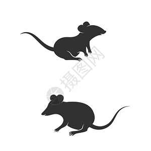 啮齿动物大鼠可爱矢量图标设计它制作图案插图十二生肖野生动物捕食者跑步运行荒野财富尾巴睡眠插画