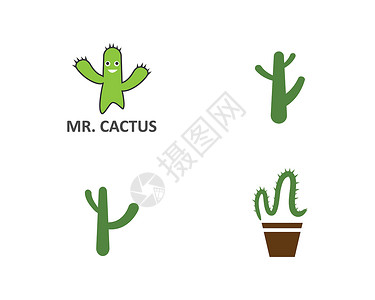 仙人掌标志模板卡通片品牌植物学咖啡店标识植物群插图商业沙漠植物背景图片