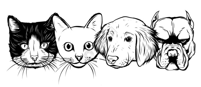 比特犬黑白兽医宠物图标符号设置矢量分组以便于编辑插画