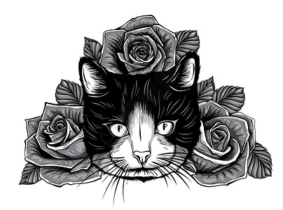 斯芬克斯单色卡通蓬松猫与玫瑰 睁开眼睛和鲜花的暹罗猫 成人和儿童图画书设计图片