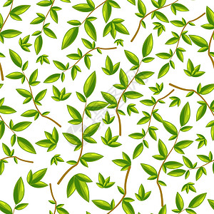 无缝模式与叶绿叶在白色背景上背景图片