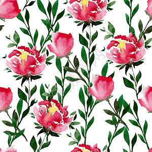 淡粉色玫瑰花蕾白色无缝图案与水彩粉色玫瑰插画