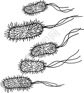 植物乳杆菌在白色背景上分离的矢量黑色素描细菌 医学治疗中的微生物 细菌疾病元素 医学概念的手绘细菌处方危险医生帮助生物学流感药品感染细胞药插画