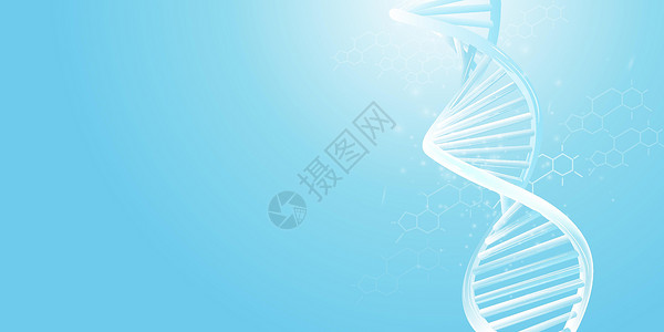 牛黄酸以浅蓝色背景为模型的DNA双螺旋模型设计图片