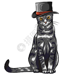 黑灰色戴着灰色仇恨眼镜和领结图案的矢量滑稽英国猫潮人绅士绘画蓝色艺术眼镜动物黑鸟卡通片模组商业插画