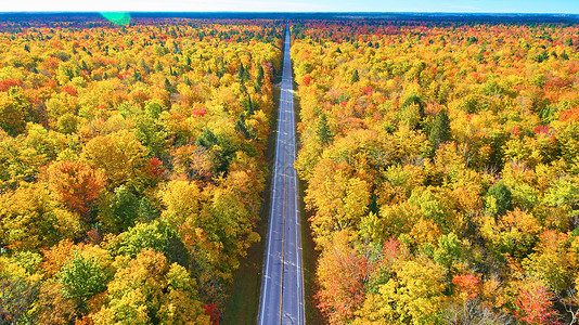 直直 空空的道路 穿过秋树和太阳的光芒背景图片
