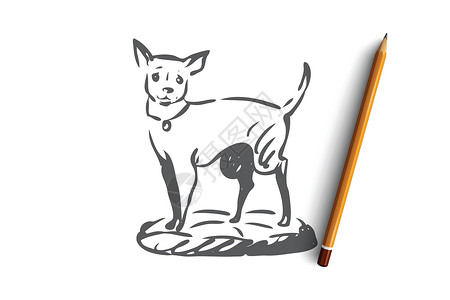 遛狗户外宠物家庭概念 手绘孤立的矢量男人动物耳朵草图犬类朋友哺乳动物插图小狗尾巴设计图片