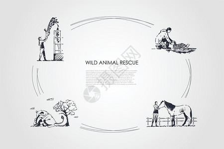 坎加鲁岛野生动物救援照顾长颈鹿马塞坎加鲁乌龟矢量概念 se 的人袋鼠社会男人生态手绘世界危险草图兽医宠物设计图片