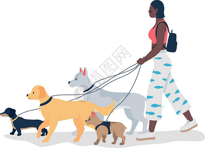 非洲裔美国女孩用皮带遛狗 平面彩色矢量详细特征插画