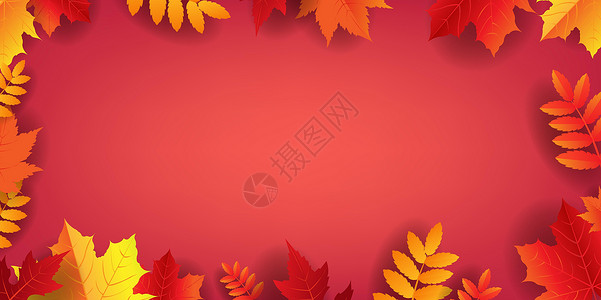 秋天的海报与刻字文本与休假植物横幅花束坚果植物学落叶区系树叶叶子板栗背景图片