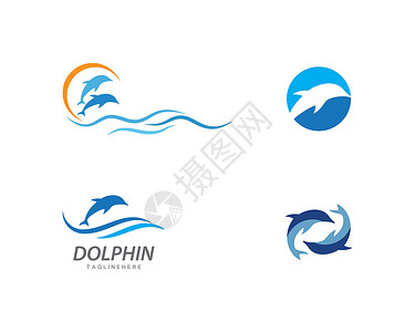 古海温泉海豚标志图标 vecto荒野蓝色生活游泳圆圈乐趣海浪哺乳动物潜水跳跃设计图片