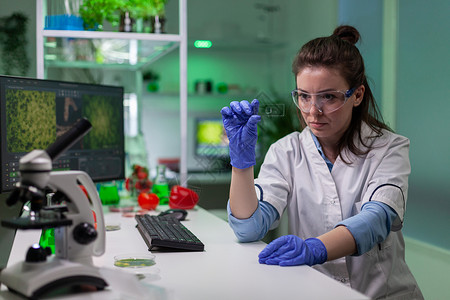 化学科学家研究绿叶样本 检查基因突变情况以及植物学植物液体生态农业电脑实验外套化学品吸管背景图片