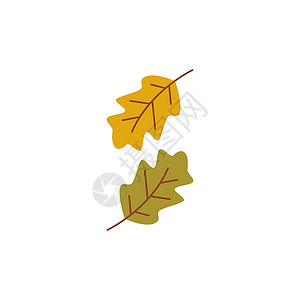 秋叶标志模板插图红色生态橡木植物叶子运动绿色橙子棕色背景图片