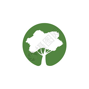 树日志标识叶子橡木环境花园艺术生活树干植物绿色背景图片