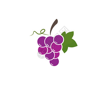 串带叶 ico 的酿酒葡萄植物葡萄属和睦紫色黑色食物插图配种浆果农场插画