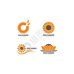 太阳花花卉标志矢量 ico晴天植物园艺农场太阳橙子商业插图健康花园背景图片
