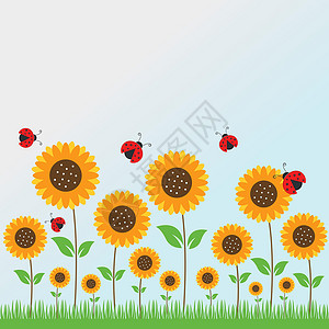 太阳花夏季与草自然矢量图制作图案插图太阳蝴蝶蓝色向日葵瓢虫季节环境草地植物背景图片