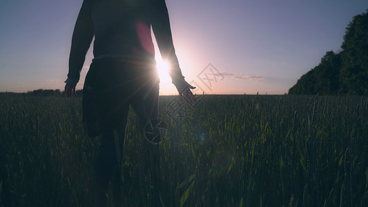 女人在日落时穿过草地女士农业女孩女性场地小麦幸福裙子背景图片