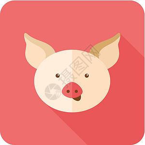 长阴影的猪平面图标化身插图农业家畜哺乳动物农场生物动物标签食物背景图片