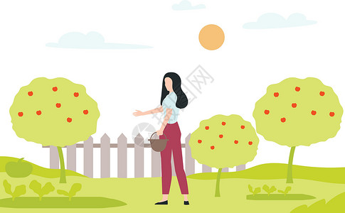 一个女孩拿着水桶去番茄树上摘西红柿背景图片