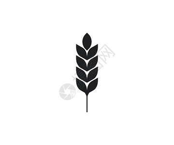 小麦矢量图麦粒图标 矢量图插画