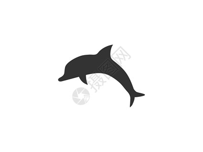 动物海豚图标 矢量插画平面设计游泳哺乳动物荒野卡通片插图吉祥物生活飞跃智力水彩设计图片