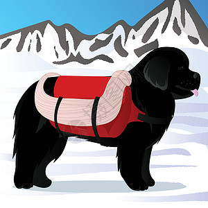 在山的纽芬兰狗救星医药箱情况战犬人员动物黑色救援救命卡通片绳索插画