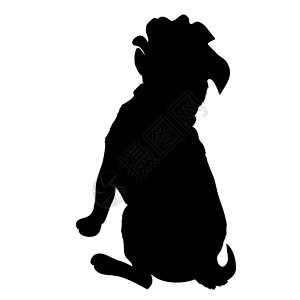 壮汉法国斗牛犬纯种犬站在侧视图矢量轮廓隔离肌肉犬类成人黑色身体绘画头发褶皱漫画宠物插画