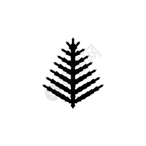新西兰树蕨类异国情调的热带植物叶 平面矢量图标说明 白色背景上的简单黑色符号 用于 web 和移动 UI 元素的热带植物标志设计模板插画
