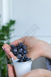 女人拿着装有冷冻蓝莓水果的金属桶 收获的概念 收集浆果的女性手 健康饮食理念 为冬天储备浆果 素食 vegan food女士免疫背景